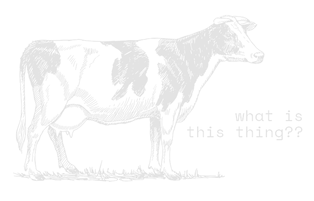 Text next to an animal saying What is this thing?? The animal is large with dark spots, hooves, and udders.